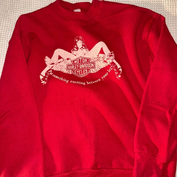 Harley-Davidson Tops - Authentic 1970s Harley Davidson Sweatshirt (Women’s L)